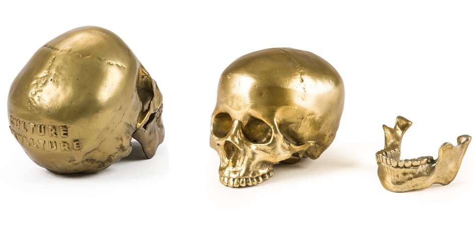 Статуэтка Seletti Wunderkrammer Human Skull Статуэтка Seletti Wunderkrammer Human Skull - Loft-Concept в Омске