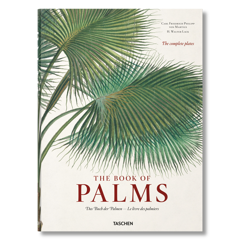 Книга The Book of Palms  в Омске | Loft Concept 