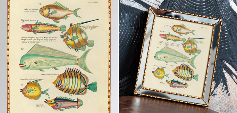 Постер в зеркальной раме Fish Guide 6 - Loft-Concept в Омске