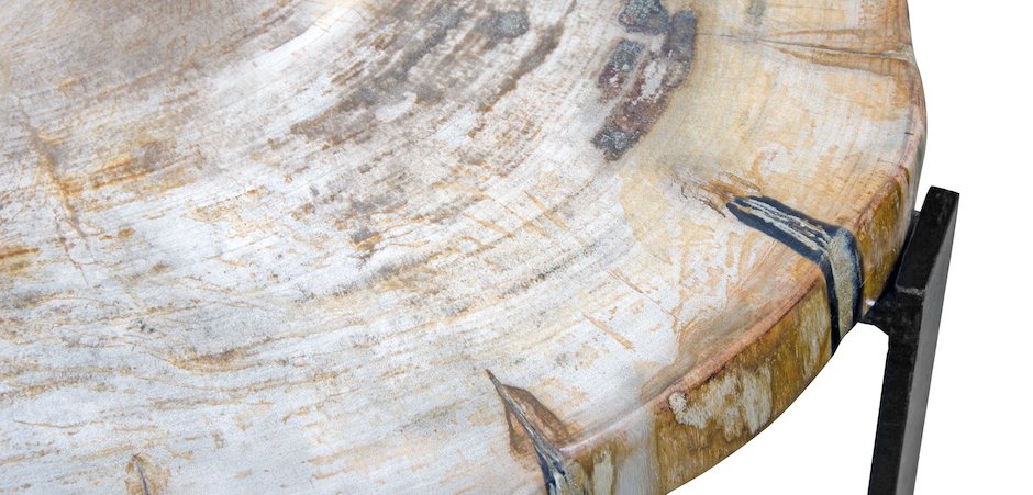 PETRIFIED WOOD COFFEETABLE M Окаменелое дерево PETRIFIED WOOD COFFEETABLE M Окаменелое дерево - Loft-Concept в Омске