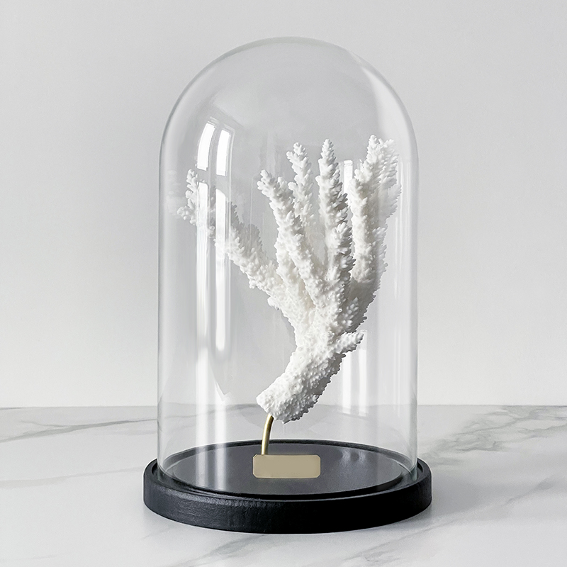 Статуэтка Natural Coral Branch Glass Cloche  в Омске | Loft Concept 