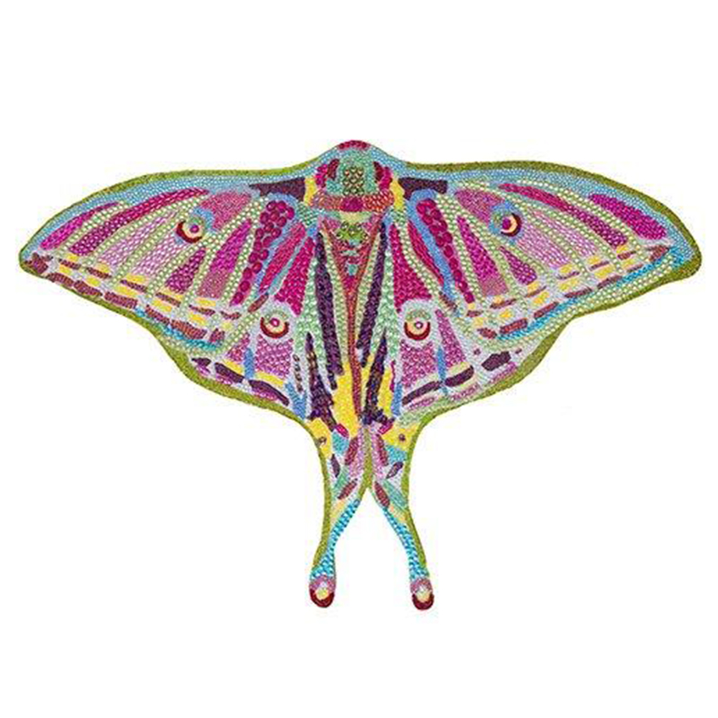 Картина “Spanish Moon Moth Butterfly Cut Out” Мульти в Омске | Loft Concept 