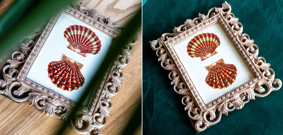 Постер Red Scallop Poster - Loft-Concept в Омске