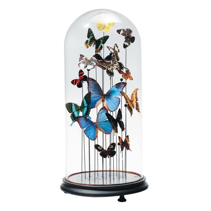 Статуэтка 15 Butterflies Glass Cloche  в Омске | Loft Concept 