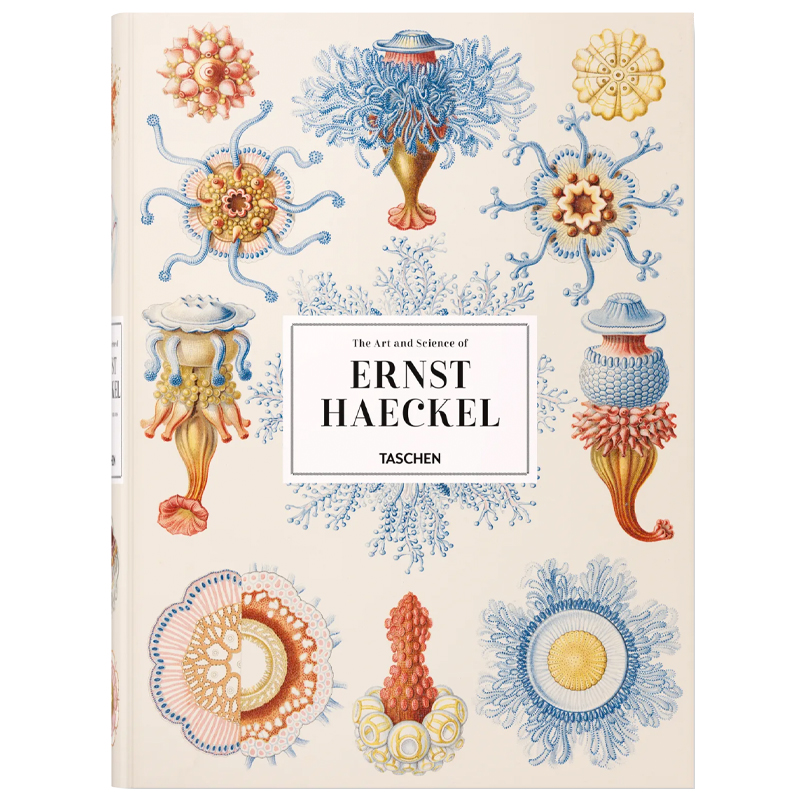 The Art and Science of Ernst Haeckel XXL  в Омске | Loft Concept 