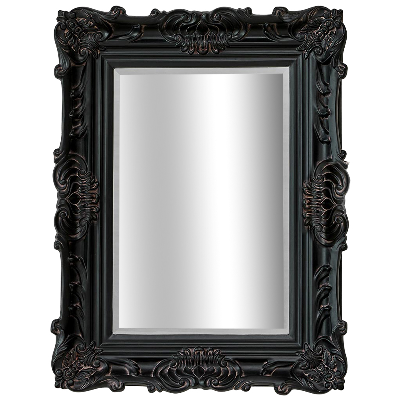 Зеркало Aryan Provence Mirror Black Черный Коричневый в Омске | Loft Concept 