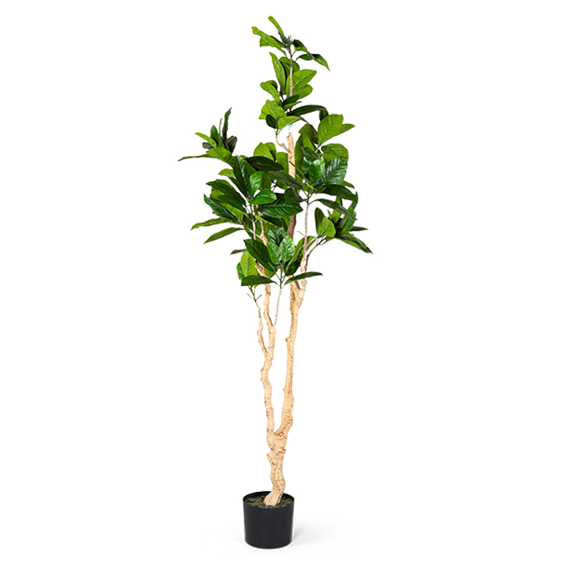 Декоративный искусственный цветок Decorative Tree h187 Зеленый в Омске | Loft Concept 