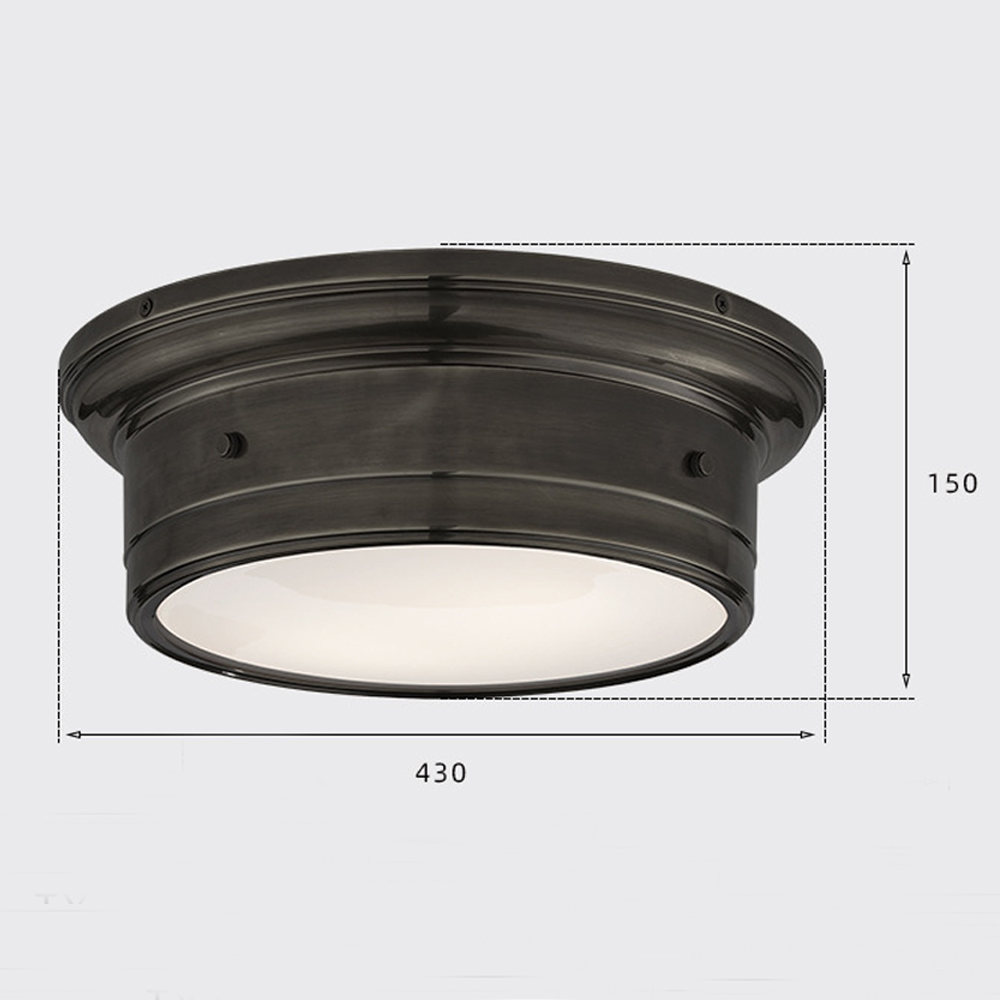 Потолочный светильник круглый черного цвета Modern Simple Ceiling Light в Омске