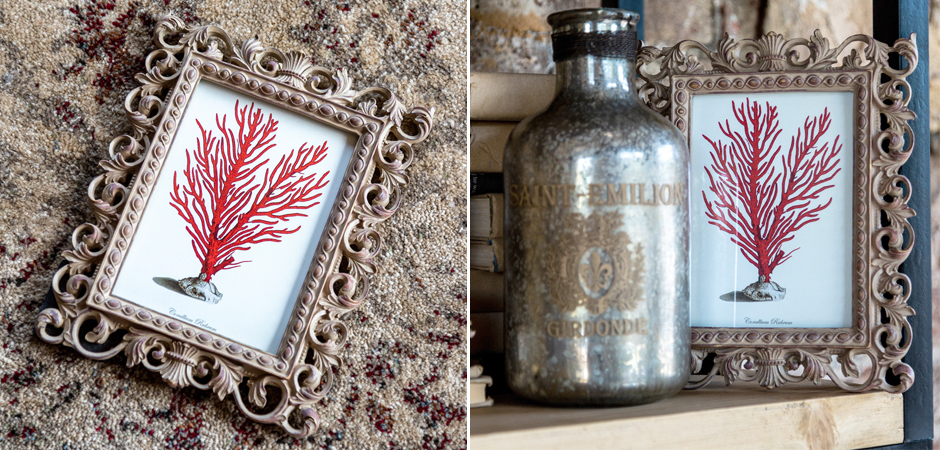 Постер Red Coral Poster 1 - Loft-Concept в Омске