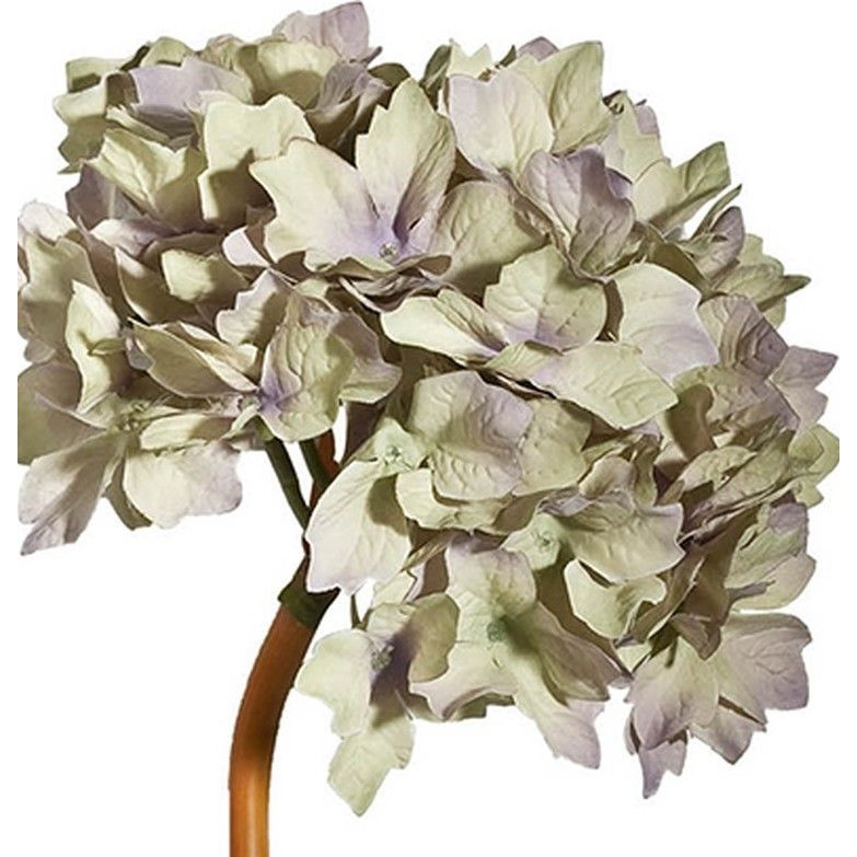 Декоративный искусственное растение Beige hydrangea Черный Бежевый Коричневый в Омске | Loft Concept 