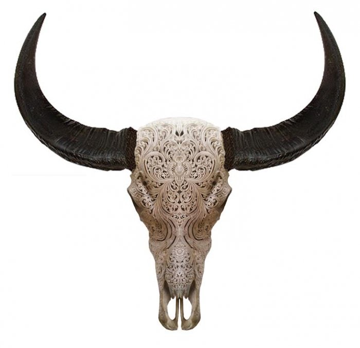 Череп буйвола с резьбой Buffalo Skull Tribal Carving Белый в Омске | Loft Concept 