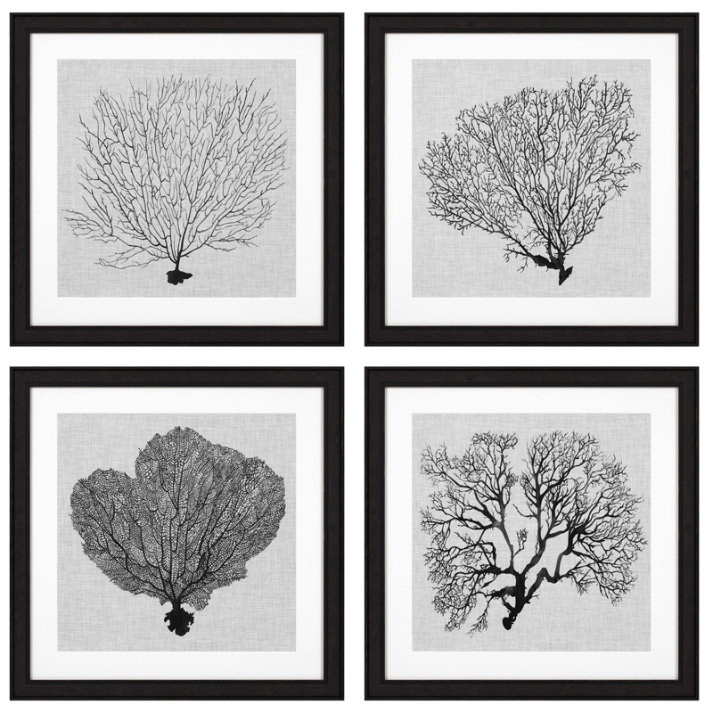 Комплект постеров Eichholtz Prints Shadow Sea Fans set of 4 Черный Черно-белый в Омске | Loft Concept 