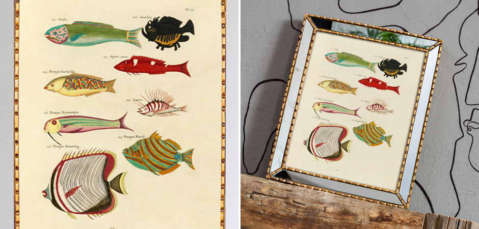 Постер в зеркальной раме Fish Guide 4 - Loft-Concept в Омске