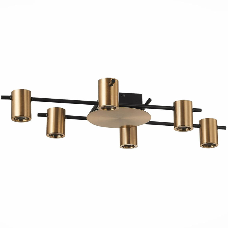 Потолочный светильник Aigle Ceiling Light 6 Черный Латунь в Омске | Loft Concept 