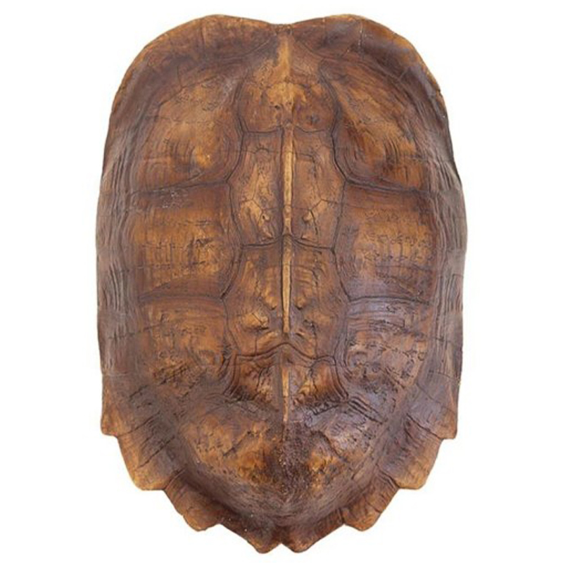 Аксессуар Turtle Shell Natural Light Brown Коричневый в Омске | Loft Concept 