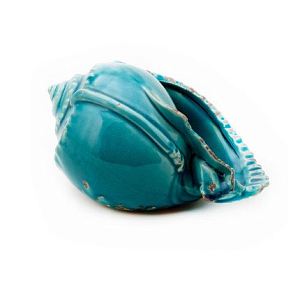 Ракушка Shell Turquoise #3