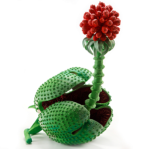 Дизайнерская статуэтка для интерьера Tropical Fruit Pandora 16