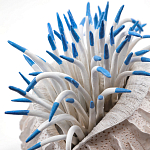 Статуэтка тропический фрукт Tropical Fruit White Blue варинант исполнения - 1 | Loft Concept в Омске