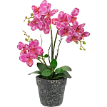 Декоративный искусственное растение Pink orchid варинант исполнения - 1 | Loft Concept в Омске