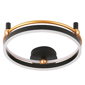 Потолочный светильник круглой формы с черным металлическим каркасом и золотыми декоративными элементами Длина 47 см Ring Horizontal