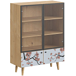 Витрина с изображением на дверцах Elise Cupboard варинант исполнения - 6 | Loft Concept в Омске