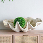 Блюдо декоративное в виде ракушки Seashell варинант исполнения - 3 | Loft Concept в Омске
