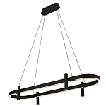 Люстра подвесная овальная черная  Black Light Fixtures варинант исполнения - 1 | Loft Concept в Омске