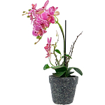 Декоративный искусственное растение Pink orchid варинант исполнения - 4 | Loft Concept в Омске