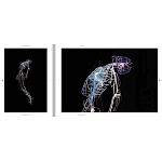 Монография художника Tavares Strachan - There is Light Somewhere варинант исполнения - 6 | Loft Concept в Омске