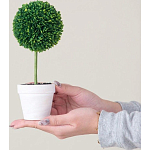 Декоративный искусственное растение Boxwood One варинант исполнения - 6 | Loft Concept в Омске