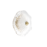 Бра в форме прозрачного стеклянного цветка с рельефной текстурой Textured Glass варинант исполнения - 7 | Loft Concept в Омске