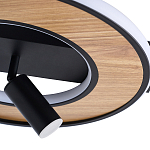 Потолочный светильник круглый GAVIN WOOD варинант исполнения - 2 | Loft Concept в Омске