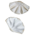 Фигурка из фарфора в виде одной створки ракушки Marine Tridacna варинант исполнения - 3 | Loft Concept в Омске