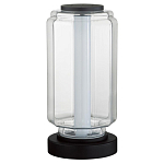 Настольная лампа с прозрачным плафоном Jarrty варинант исполнения - 1 | Loft Concept в Омске