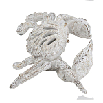 Статуэтка краб с детализированной текстурой в белом цвете Marine Accessories варинант исполнения - 4 | Loft Concept в Омске