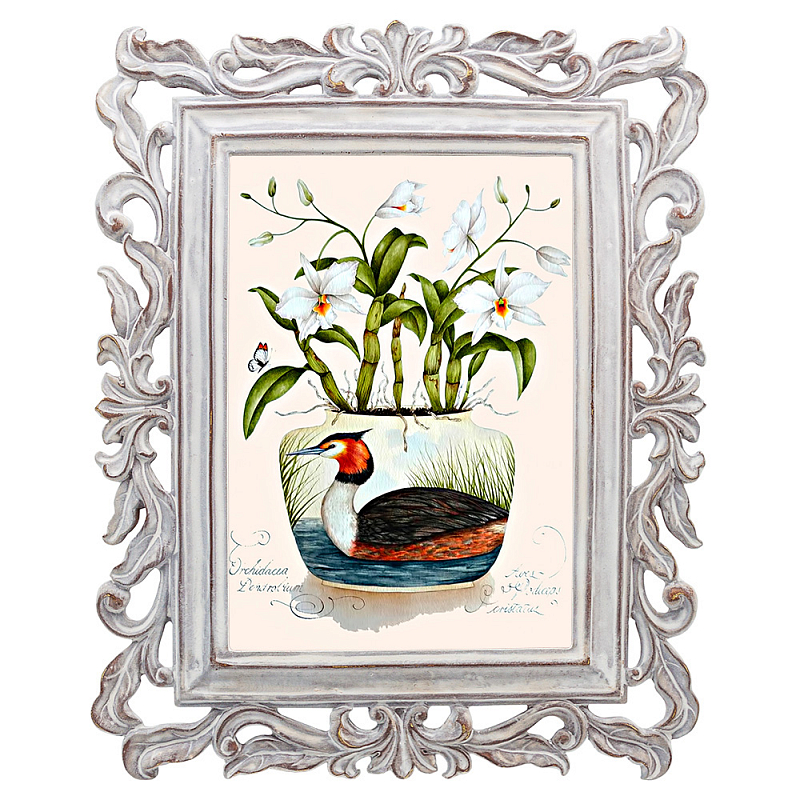 Постер Tropical Orchid Poster Мульти Белый винтажная патина   в Омске | Loft Concept 