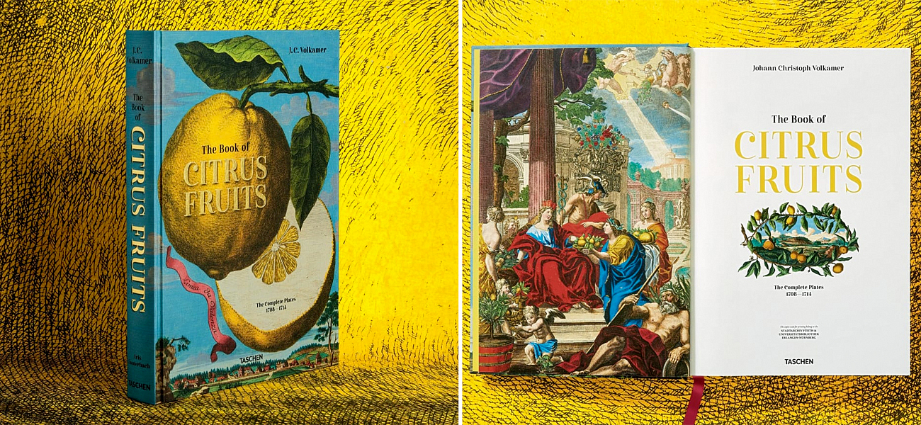 Volkamer Citrus Fruits Volkamer Citrus Fruits - Loft-Concept в Омске
