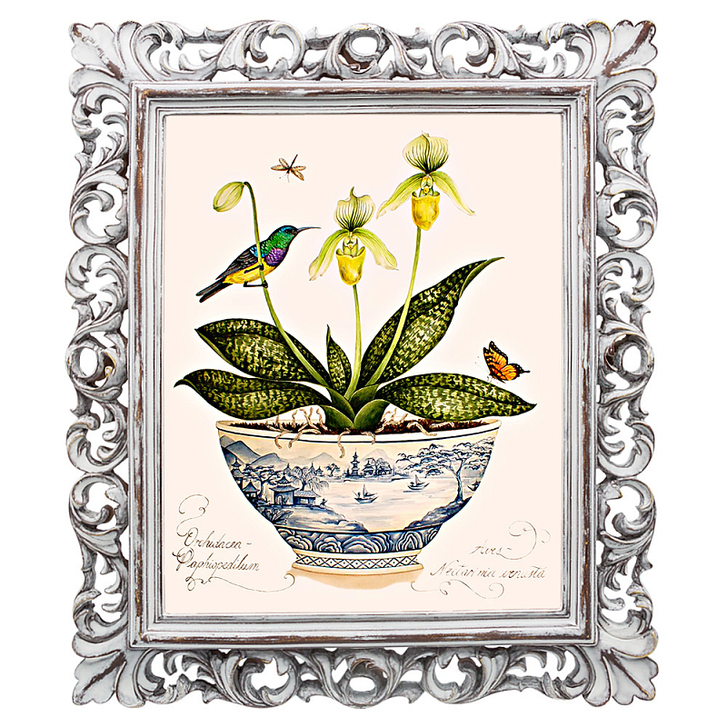 Постер Hummingbird On Flower Poster Мульти Белый винтажная патина Постер Hummingbird On Flower Poster Мульти Белый винтажная патина в Омске | Loft Concept