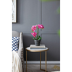 Декоративный искусственное растение Pink orchid варинант исполнения - 8 | Loft Concept в Омске