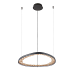 Люстра светодиодная  Iris варинант исполнения - 2 | Loft Concept в Омске