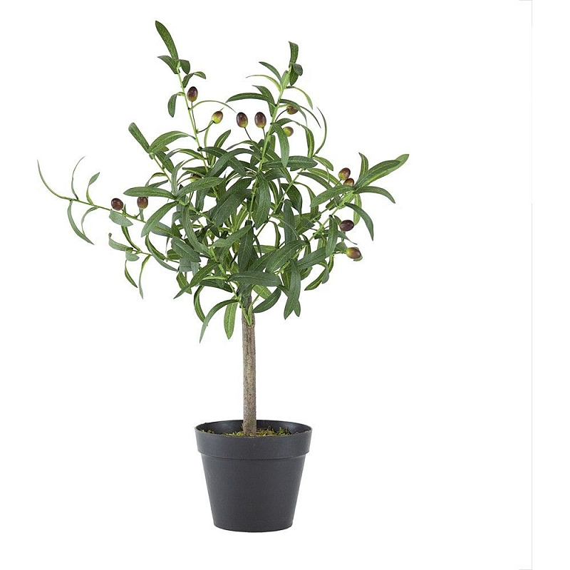 Декоративный искусственное растение Olive tree with fruits Зеленый Черный Коричневый Декоративный искусственное растение Olive tree with fruits Зеленый Черный Коричневый в Омске | Loft Concept