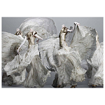 Alexander McQueen: Savage Beauty варинант исполнения - 2 | Loft Concept в Омске