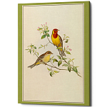 Постер на холсте с изображением птиц Blooming Birds Poster варинант исполнения - 12 | Loft Concept в Омске