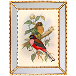 Постер с изображением птиц и цветов в зеркальной раме Blooming Birds Poster варинант исполнения - 7 | Loft Concept в Омске