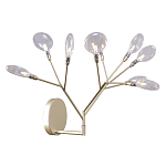 Бра в виде ветвей с прозрачными круглыми плафонами Moooi варинант исполнения - 1 | Loft Concept в Омске