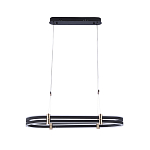 Люстра светодиодная в форме овала из акрила и алюминия с пультом для регулировки света Ring Horizontal Anthracite варинант исполнения - 1 | Loft Concept в Омске