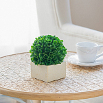 Декоративный искусственное растение Square boxwood варинант исполнения - 6 | Loft Concept в Омске