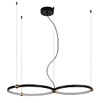 Люстра подвесная светодиодная черный металл Ring Horizontal варинант исполнения - 9 | Loft Concept в Омске