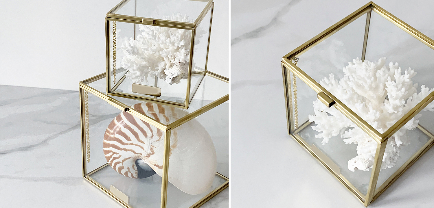 Статуэтка Natural Coral Glass Box S Статуэтка Natural Coral Glass Box S - Loft-Concept в Омске