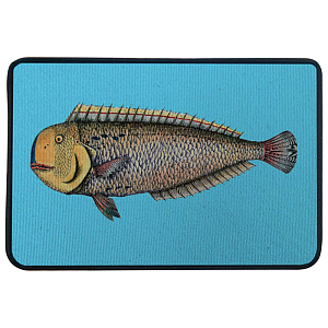 Ковер для прихожей и ванной Fornasetti Lampuga Rug